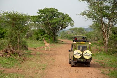 1 Day Akagera Game Drive Safari