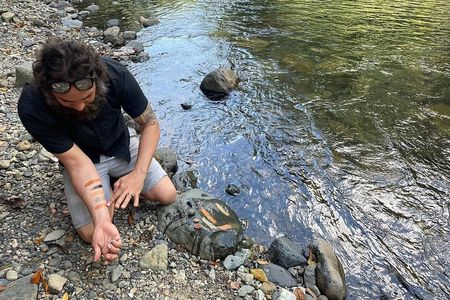 Concrete Jungle to the Actual Jungle, The Complete Package Tour