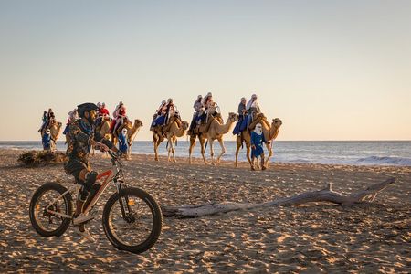 Electric Bike and Beach Camel Ride with Mexican Buffet Lunch