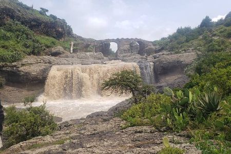 A Day Trip to Debre Libanos Monastery and Portuguese bridge