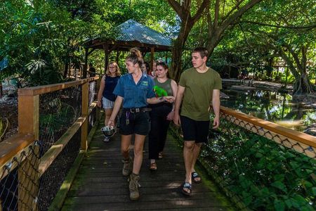 Daintree, Mossman Gorge and Wildlife Tour from Cairns