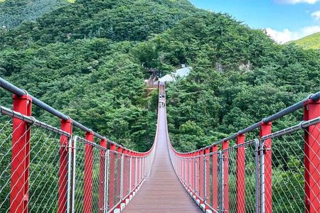 Seoul City Highlights Tour: Hanok Village, Scenic Routes