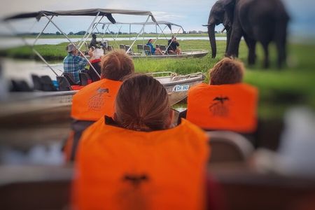 chobe 3hr sunset boat cruise