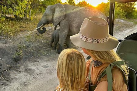 Chobe 3hr Game drive
