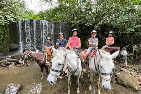 Horseback Riding to The Arenal Volcano