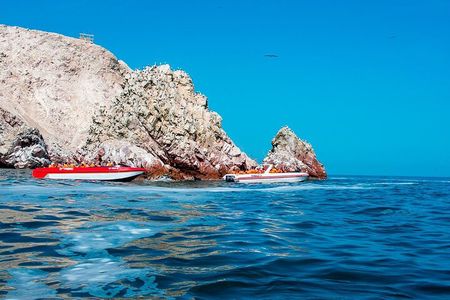 Paracas Adventure : Crossbow Islands, Buggies & Desert – Full Day