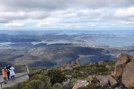 Mt Wellington Afternoon Small Group Driving Tour