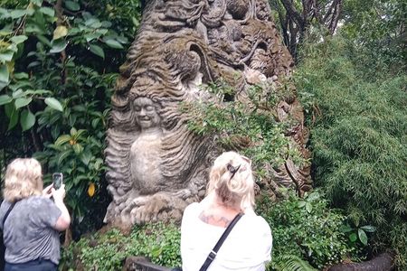 Ubud Tower Temple Waterfall And Swing Private Guided Tour