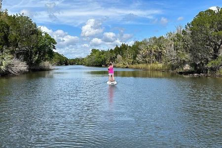 Backland Alligator Electric Paddle Tour