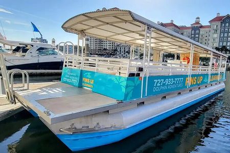 Fins Up - Dolphin & Island Sandbar Adventure in Clearwater Beach