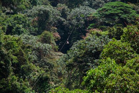 Sky Trek and Sky Tram Activity