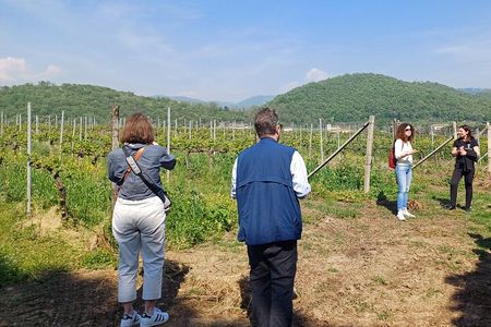 Lake Iseo & Franciacorta Winery. Scenic & Wine Tasting tour