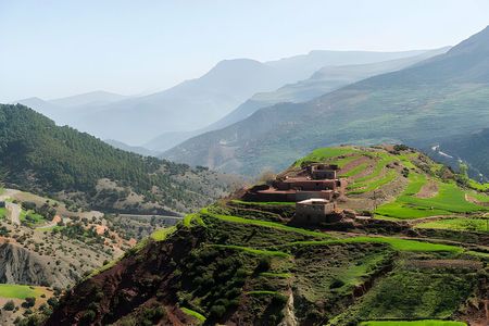 Scenic Wonders: Ourika Valley & Waterfalls Adventure