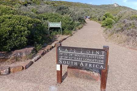 Private Excursion Cape of Good Hope and Penguins Tour