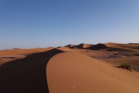 Half Day desert wild animal Park from Agadir by 4x4