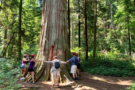 Stanley Park & Vancouver City Highlights 4 Hour Bike Tour 2 in 1