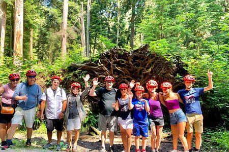 Stanley Park & Vancouver City Highlights 4 Hour Bike Tour 2 in 1