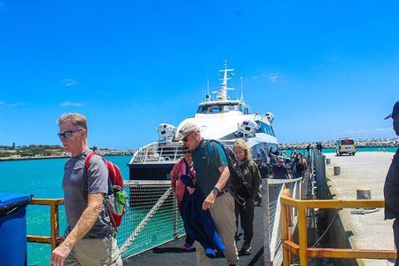 Half Day Experience in Robben Island Museum From Cape Town