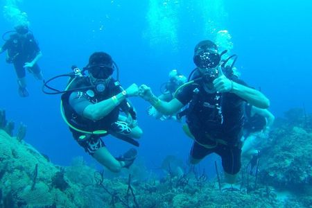 Catalina Island Diving Experience from Punta Cana