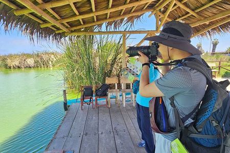 Birdwatching at la Punta with local food + Airport Pick up