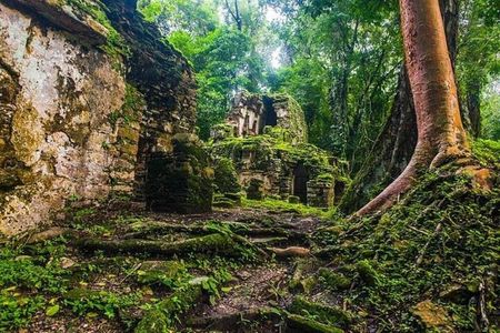 Bonampak & Yaxchilan: Hidden Maya Ruins in the Chiapas Jungle