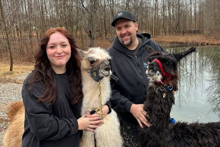 Hike & Lunch with Llamas