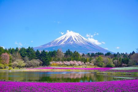 From Tokyo Mt. Fuji and Hakone Sightseeing Private Day Trip 
