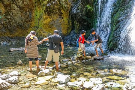 Half Day Tour to Faery Waterfalls, Castle Lake and Mount Shasta