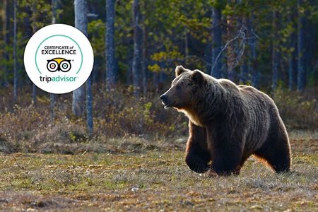 Banff Highlights & Wildlife | Award-Winning Small Group Adventure