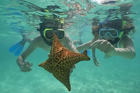 Saona Island Day Trip From Punta Cana with Lunch and Open Bar