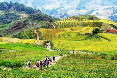 Hanoi to Sapa 3-Day Trekking Tour–1 Night Homestay, 1 Night Hotel
