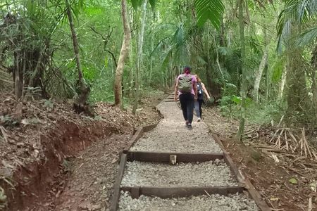 Walking Tour Metropolitan Park Panama City