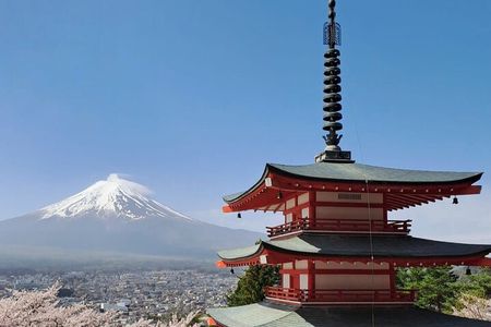 Private Car tour to Mt. Fuji/Hakone with English Driver/Guide