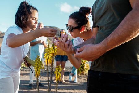 Fuerteventura Organic Farm: Aloe Vera & Olive Oil Tasting