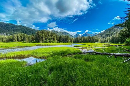 Explore Beyond the Dock: Unforgettable Private Tour in Sitka
