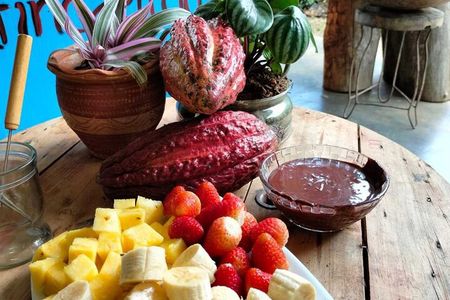 Cocoa and Chocolate Tour in San Rafael from Medellín