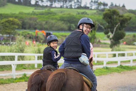 Jeju Island Popular Sightseeing Private Car Charter Tour 5/9hours