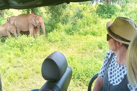 Fully Private Udawalawe National Park Safari Tour