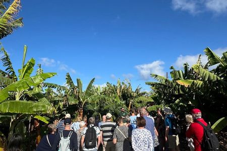 Banana Museum, Rum Distillery & Winery with Tasting: Premium tour