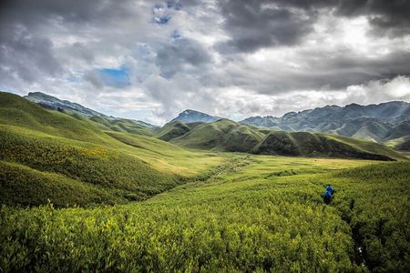 4 Day Tour at Nagaland Dzukou Valley