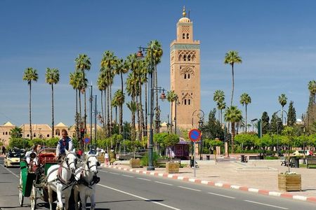 1 Day Guided Tour in Marrakech from Agadir