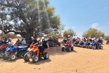 Quads & Buggy Adventure