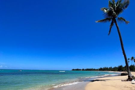 Rainforest Waterfall Slides/Adult Drinks included/ Beach