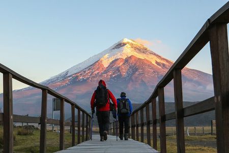 4-Day Ecuador Adventure: Quito, Amazon, Baños, Cotopaxi & Quito