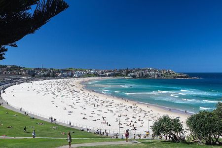 Bondi Beach & Beyond Private Tour