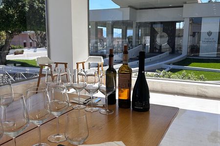 Wine Tasting Experience for Small Groups from Palermo