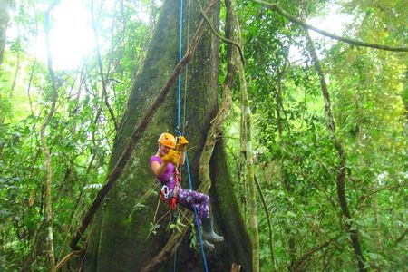 3 days Amazon Jungle tour with Pink Dolphin watch from Iquitos