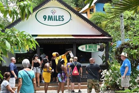 Bob Marley's Nine Mile Tour with Admission from Montego Bay