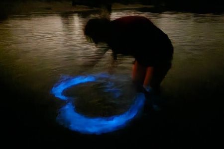 Orlando Bioluminescence Kayak Adventure