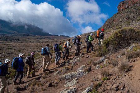 7 Days Mount Kilimanjaro Climbing Machame Route: